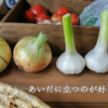 【”mocchiさんのお野菜”で選ばれないことが目標】【70話】