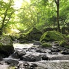 ぼくの夏休み。沢遊びキャンプ