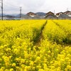 あわただしく過ぎる別れの３月