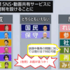 選挙のSNS規制アンケート