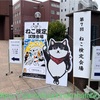 挑戦の果てに【第7回 ねこ検定 中級】2024年3月24日は試験日でした