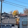 寒い