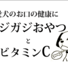 歯磨きできない！ガジガジとビタミンCで犬のお口を健康に