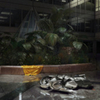  Jam City / Classical Curves