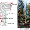 法面危険樹木の伐採作業が完了しました