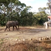 冬の「よこはま動物園ズーラシア」を見学する