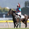 【競馬】混戦模様の日本ダービー！どれ切る？どれ買う？買える要素！買えない要素まとめ！その1→本気度で見る！！！【予想】