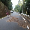 秋の道路掃除