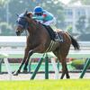 カネラフィーナ、特別2勝クラスを快勝する！未勝利勝ちからの3連勝でいよいよ大きな舞台が見えてきたぞ！