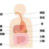 なぜ胃酸がでる必要があるのか？