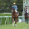 レベンディス、復帰戦が決まる！