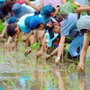 足が抜けない！でも楽しい！～田植えハイク2025～