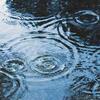 梅雨入り！
