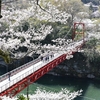 桜淵公園（新城市）　　2017_04_13