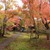 境内一面に広がるカエデの紅葉が美しい 飯山市「称念寺」