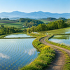 己巳（つちのとみ）日柱の性格｜苦労しやすい理由と内なる情熱【四柱推命】