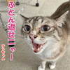 それどこ情報？ネット情報よ！
