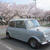 多摩川中央公園北側の桜並木（東京都福生市）