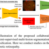 Collaborative Learning of Semi-Supervised Segmentation and Classification for Medical Images 