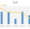 36週目まとめ