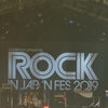 オタクが生まれてはじめてROCK IN JAPAN FESTIVALに参加した話