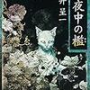 平井呈一『真夜中の檻』（01）