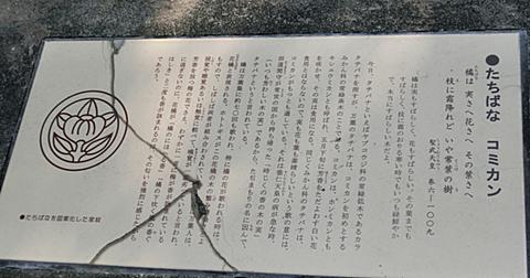 感動詞とは 一般の人気 最新記事を集めました はてな