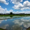 茨城の空と田んぼ