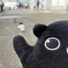 モモンガを探せ！ほっと神戸へ探検隊が出撃だ(751)