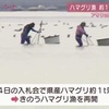 ハマグリ漁　約1ヵ月ぶり再開　有明海