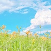 自分を許せないあなたへ。罪悪感から自由になる方法