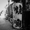monochrome
