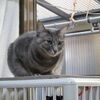 ３日の朝