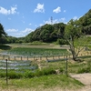 よ〜りど〜りみどりな日だったので､入園無料日のあいな里山公園に行ってみる｡🌳🌳