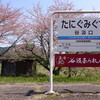 2023年4月3日（月）　樽見鉄道で薄墨桜を見に行く。