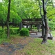 山口県周南市の遠石緑地(といしりょくち)を紹介