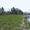 １８．元荒川と第六天神社の春