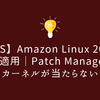 【AWS】Amazon Linux 2023のパッチ適用｜Patch Managerが「準拠」でも脆弱性が残る理由