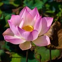 そらむのダイエット教室