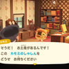 【810】カモミのしゃしん