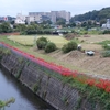 逆川の船着き場跡はどこ？