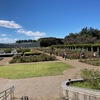 温泉の帰り道　神代植物公園へ行ってきました