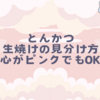 とんかつ生焼けの見分け方｜中心がピンクでもOK？