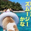 暑さと湿気　犬と一緒にだるさ吹き飛ぶスムージーはいかが？