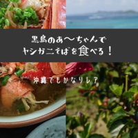 沖縄でもかなりレア ヤシガニ を食べることができる店 無理を可能に 調べまくってお得に旅行や日常を楽しもう