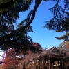 増上寺（東京都港区・芝大門・浜松町）