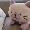 ゆずかから、ゆずかが欲しいであろう誕生日プレゼントをもらいました(о´∀`о)