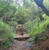 ☆神奈川 * 丹沢大山に登る