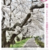 広報こしがや3月号が発行されました！