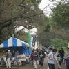 小金井公園_小金井なかよし市民まつり(東京都小金井市)